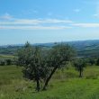 Image09_BorgoCampagna-:Le Marche Property