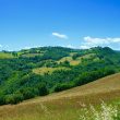 Alla Grande_image17-Le-Marche-Estate-Agents