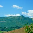 Alla Grande_image18-Le-Marche-Estate-Agents